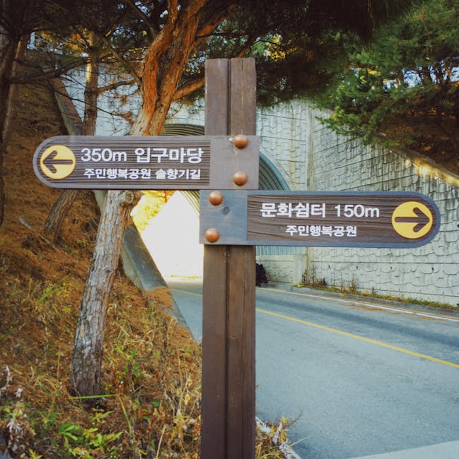 A wooden directional signpost situated on the side of a paved road in an outdoor setting, with two horizontal signs mounted on a vertical post. The upper sign points left and indicates a distance of 350 meters to a location, with Korean text and an arrow. The lower sign points right, showing a distance of 150 meters to another destination, also with Korean text and an arrow. The background features a rock wall, a concrete structure, and a large tree with green foliage, suggesting a semi-rural or suburban area. The scene is illuminated by natural light, emphasizing the weathered appearance of the wooden signs and surrounding environment, typical of signage used on routes or in parks. Such signage may assist with navigation during home relocation or moving logistics, common to professional removals services like Hounslow Removals, featured on pages offering house removals and parking tips.